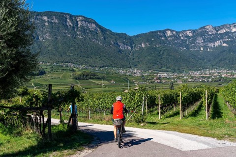 Cycle path through the wine-growing areas in South Tyrol, near Kaltern on the wine route, shortly