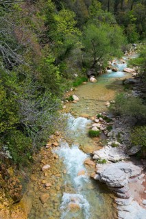 A bubbling torrent flows through a natural forest with visible boulders, River Neda, Peloponnese,