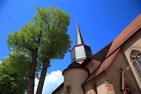Protestant town church, Schlitz, small town in the east of the Vogelsberg district in central