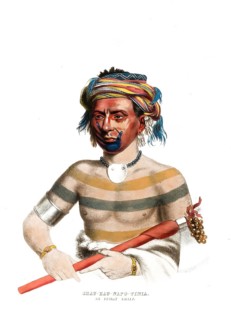 American Indian, Native American, Shau-Hau-Napo-Tinta, Chief of the Ioway tribe, United States of