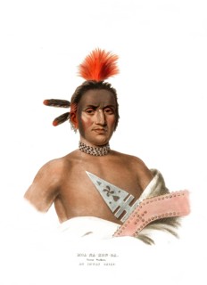 American Indian, Native American, Moa-Na-Hon-Ga. Great Walker, Chief of the Ioway tribe, United