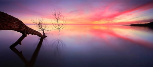 Sunset on the Szczecin Lagoon, tree trunk lying on the beach in the water of the Baltic Sea, Usedom