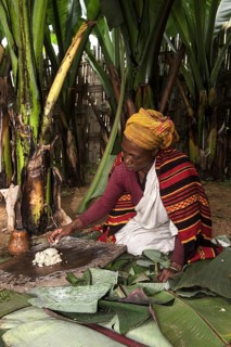 Woman from the Dorze ethnic group preparing Kocho bread dough from Abyssinian banana leaves (Ensete