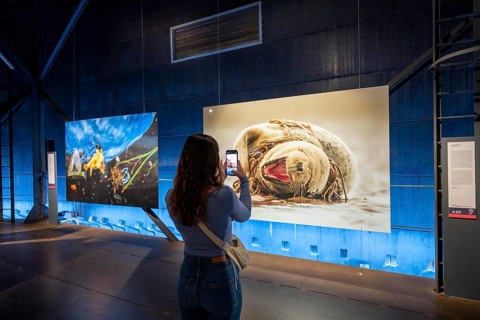 Plante Ozean exhibition in the Gasometer in Oberhausen, the world's oceans in their fragile beauty