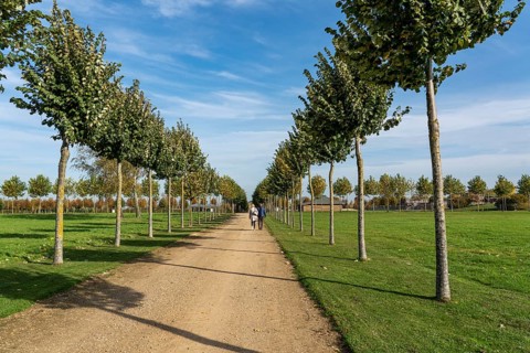 Xanten Archaeological Park, open-air museum on the site of the former Roman city of Colonia Ulpia