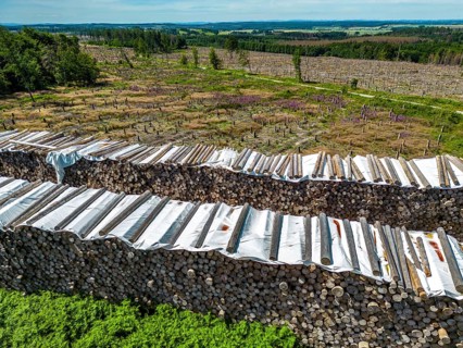 Large tree stacks, Cleared forest in the Eggegebirge, near Lichtenau, Paderborn district, site of a