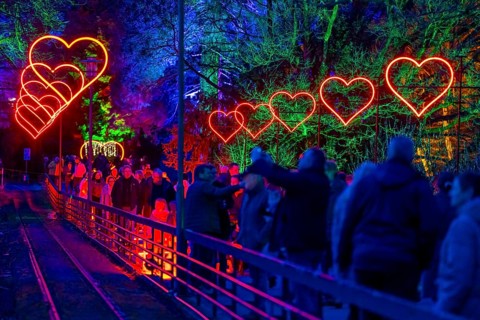 Parkleuchten, event in winter, in the Grugapark in Essen, many different light installations,
