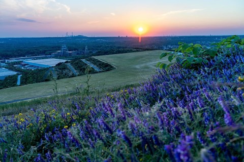 View from the Hoheward spoil tip, at sunset, to the west, Ewald mine, UNIPER Scholven combined heat