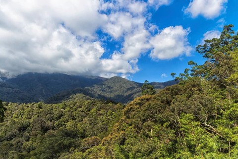 Mountains with jungle and cloudy sky. Malaysia