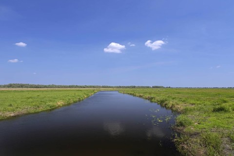 Uj? cie Warty National Park, Warta River-Mouth National Park, Lubusz Voivodeship, Lubusz Province,