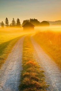 Golden morning light streams through fields of fog and the Rothenthurm high moor, Schwyz,