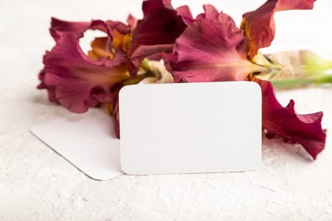 White business card with iris burgundy purple flowers on white concrete background. side view, copy