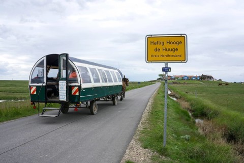 Carriage with tourists on the Hallig Hooge, 24.05.2021