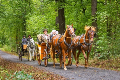 Presentation and route ride, all carriages in stylish tension, popular sporting event over approx.