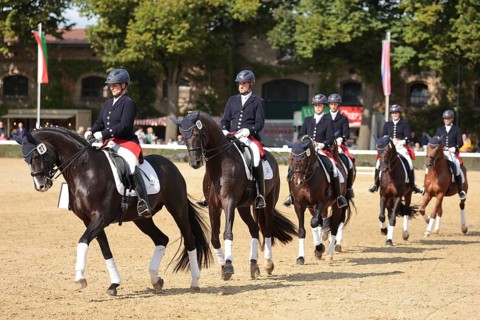Warendorf State Stud, Stallion Parade, Dressage Sextet