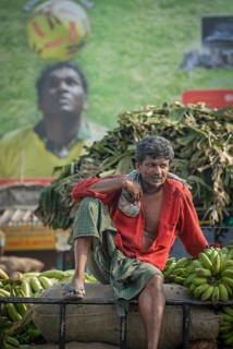 Worker on a cart with banana plants in front of a football poster, Thrissur, South India