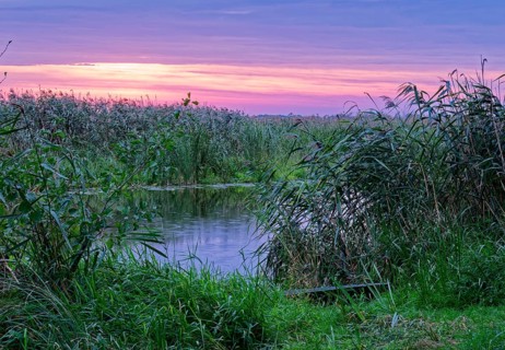 Fishing boat on a branch of the Narew in the Narew National Park in north-east Poland. Waniewo,