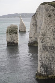 The Pinnacle stack, near Old Harry Rocks, Ballard Point, Dorset, England, United Kingdom, Europe