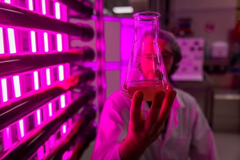 PUEVIT GmbH produces the most efficient photobioreactors for the cultivation of microalgae. The aim
