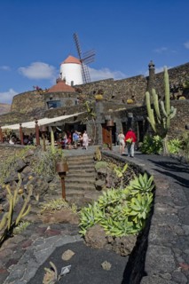 Cactus garden, Jardin de Cactus, designed by the artist César Manrique, behind the restored gofio