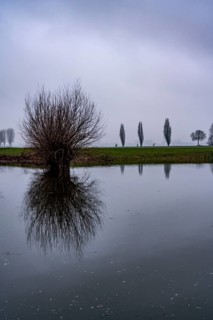 High water on the Rhine at Düsseldorf-Kaiserswerth, foggy weather, riverside paths and Rhine