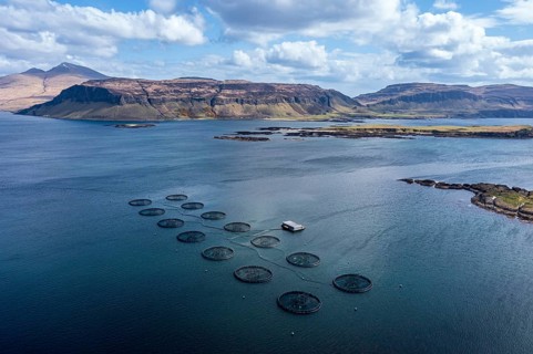 Floating cages of a salmon farm, sea between Isle of Ulva and Isle of Mull, Mt. Ben More (Mull) in
