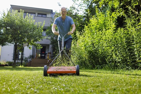 Man with hand lawnmower in the garden, Bonn, 04.07.2024