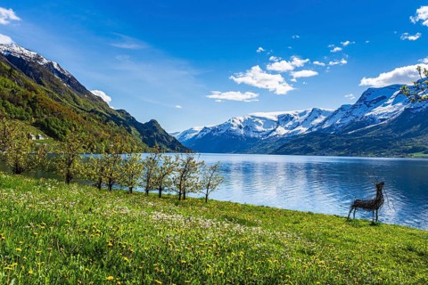 View of snow-covered mountains, fjord and apple trees in bloom, spring, Hardangerfjord near