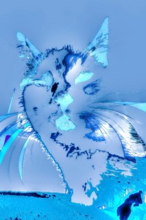 Michas Cats, art, mixed media, artist Michael Preyer, abstract cat portrait, portrait, cat head,