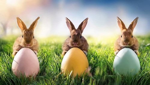 Three bunnies as Easter bunnies with colourful Easter eggs in fresh green grass, AI-generated