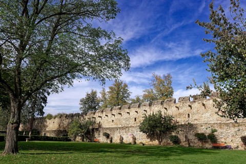 Castle wall of Creuzburg Castle. Creuzburg district, Thuringia, Germany, Europe