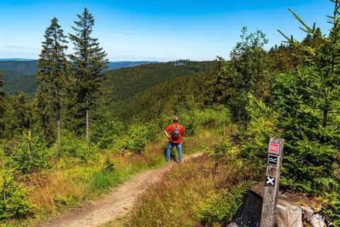 Hiking in the Sauerland, on the Rothaarsteig, here near Jagdhaus, a district of Schmallenberg North
