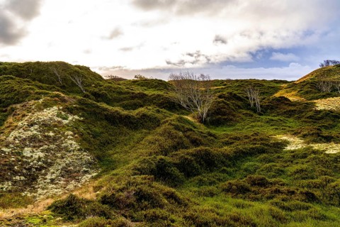 North Sea island of Spiekeroog, East Frisia, Lower Saxony, Germany, dune landscape, in the eastern