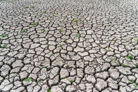 Dry ground, cracked, dried-up riverbed, in a branch of the Rhine, near Duisburg