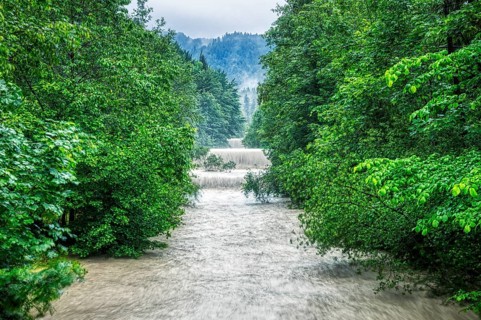 A river with strong rapids between dense, green trees in the forest, Jenbach, Bad Feilnbach