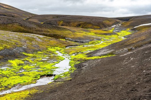 Colourful volcanic landscape with hills and snow, volcanic hot springs, Laugavegur trekking trail,