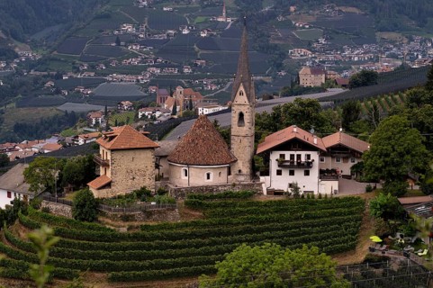Round church of St. George, St. Georgen, vineyards, vines, Scena, Scena, South Tyrol, Autonomous