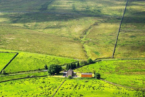 Farms over North Pennines, Cumbria, Durham, Northumberland, North Yorkshire, England, United