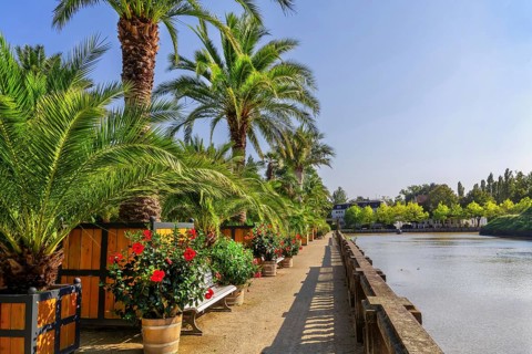 Palm garden in the historic spa gardens, the largest outdoor palm garden north of the Alps, Bad