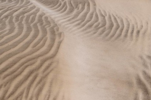 Dune landscape, Playa de Famara, Lanzarote, Canary Islands, Spain, Europe