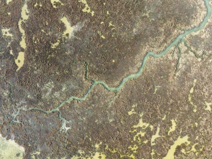 Marshland at low tide. Nature Reserve La Breña y Marismas del Barbate. Aerial view. Drone shot.