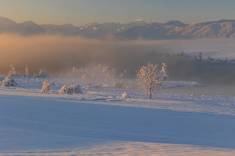 Lake in front of mountains in the morning light, fog, snow, winter, Riegsee, view of Zugspitze,