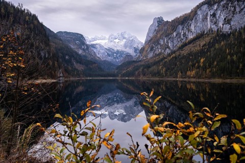 The Vordere Gosausee lake in autumn with a view of the Dachstein mountain range. The Gosaukamm on
