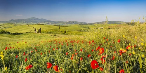 Landscape at sunrise around Pienza, Val d'Orcia, Orcia Valley, UNESCO World Heritage Site, Province