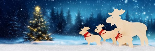 Christmas card for Christmas Card with reindeer moose and text free space Copyspace decoration and