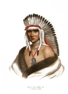 American Indian, Native American, Pet-A-Le-Shar-Ro, Warrior of the Pawnee Tribe, United States of
