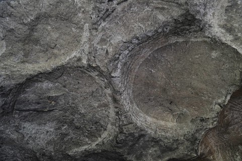 Grooves and circles in the sandstone rock from carving millstones at the Hohllay cave in Berdorf,