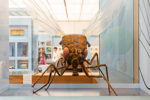 Founded in 1912, the Deutsches Hygiene-Museum is a museum in Dresden. It sees itself as a public