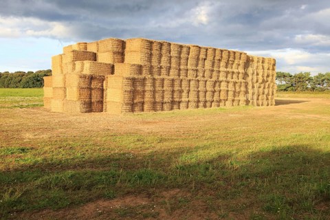 Stacked straw bales in field at Ramsholt, Suffolk, England, UK