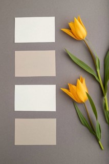 White and beige business cards and orange tulip flowers on gray pastel background. top view, flat